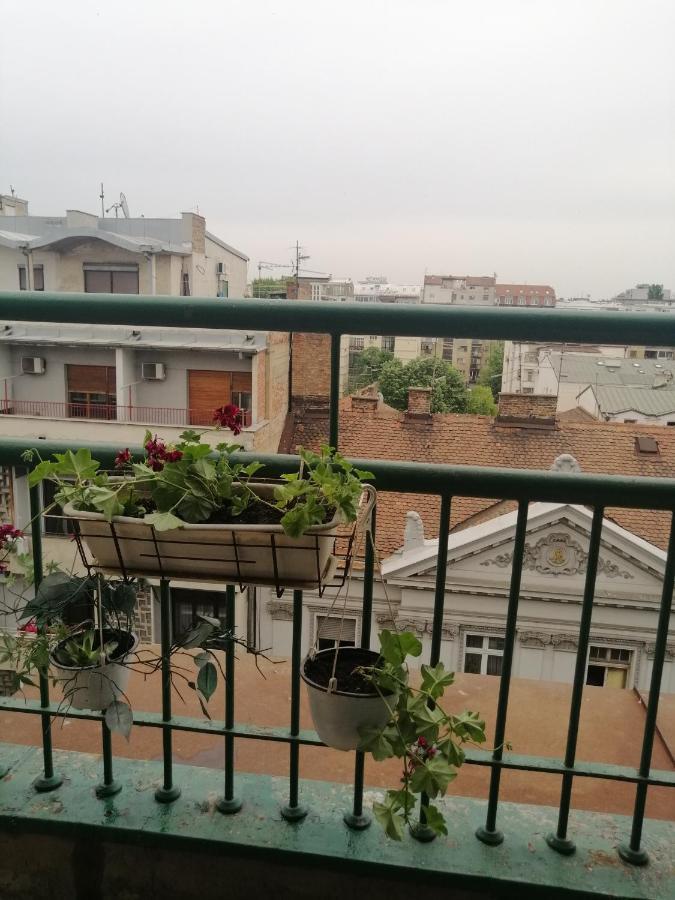 Apartman Centar Beograd מראה חיצוני תמונה